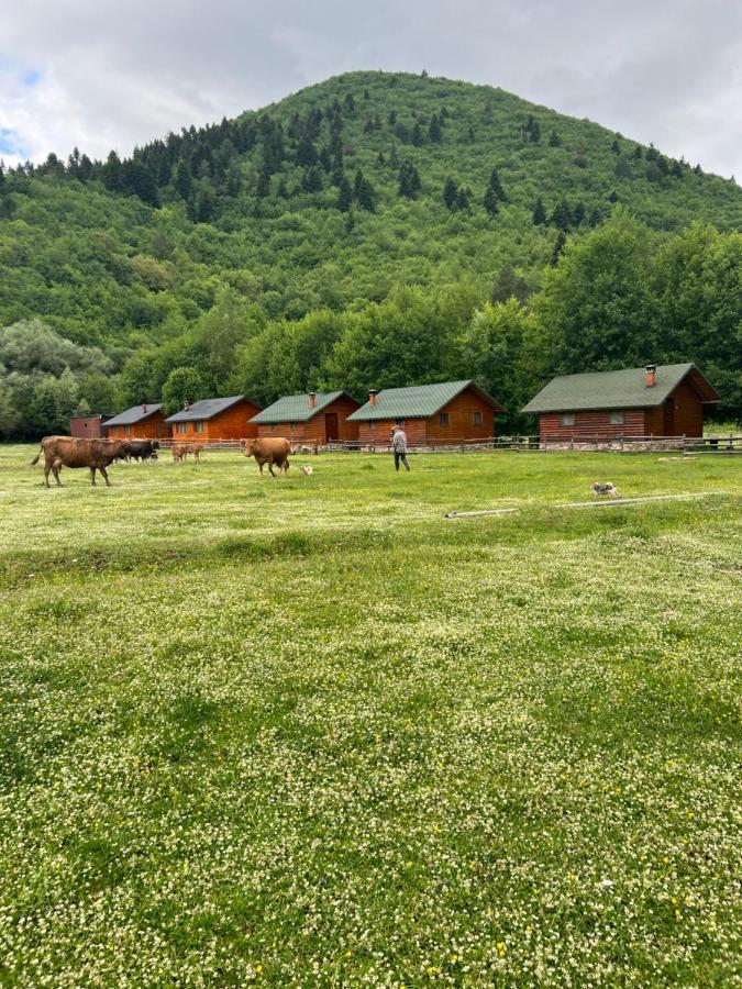 Farma Sotira Hotel Leskovik Buitenkant foto